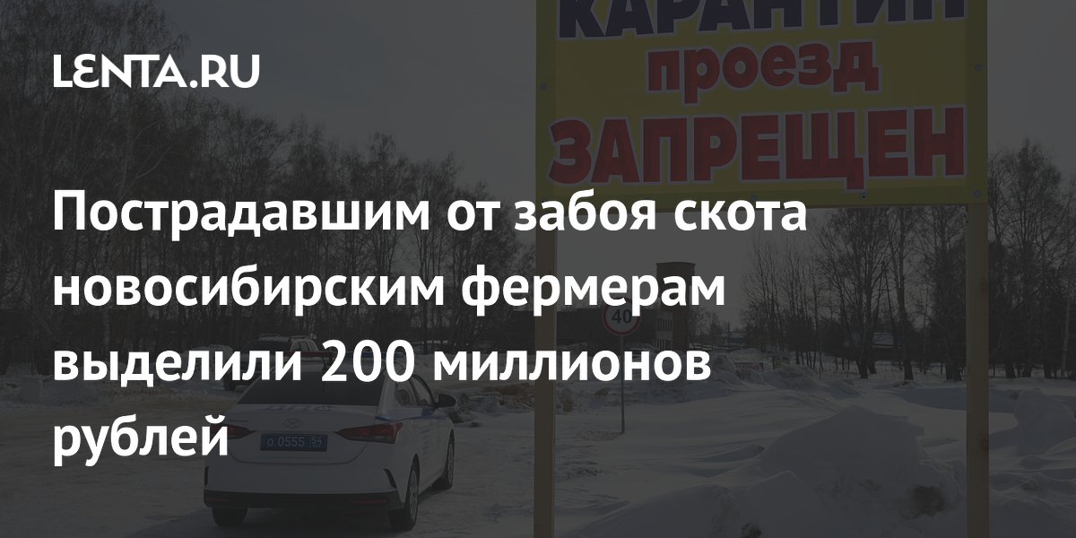 Пострадавшим от забоя скота новосибирским фермерам выделили 200 миллионов рублей